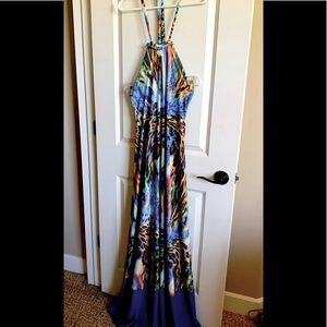 Great for the Beach 🏝️~ Maxi Dress ~ Della Animal Print